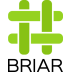 Briar логотип