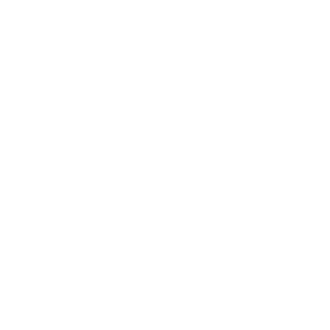 RethinkDNS логотип